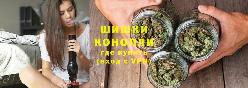 Марихуана SATIVA & INDICA  Болохово 